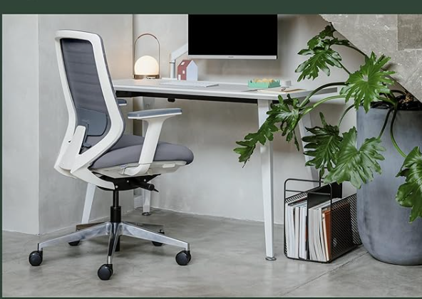Branch Ergonomic Chair