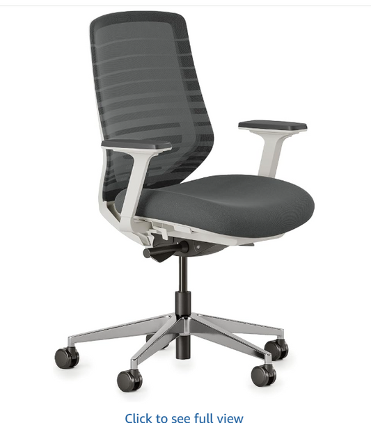 Branch Ergonomic Chair