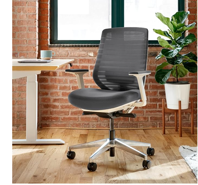 Branch Ergonomic Chair